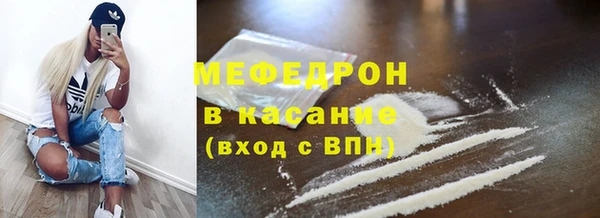 индика Новодвинск