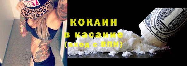 индика Новодвинск