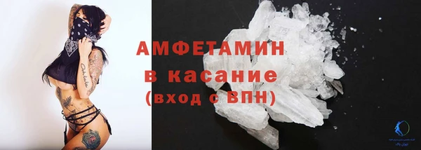 индика Новодвинск