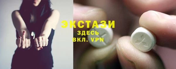 индика Новодвинск