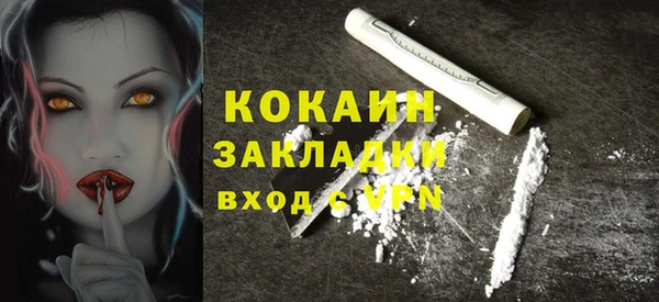 индика Новодвинск
