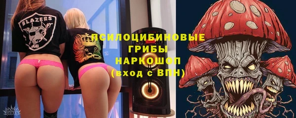 спиды Новозыбков