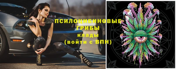 спайс Няндома