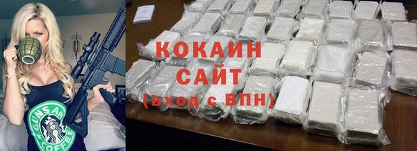 спиды Новозыбков
