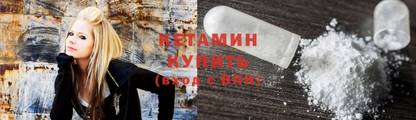 индика Новодвинск