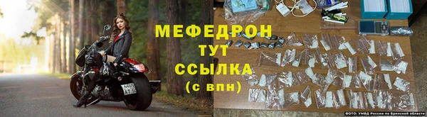 индика Новодвинск